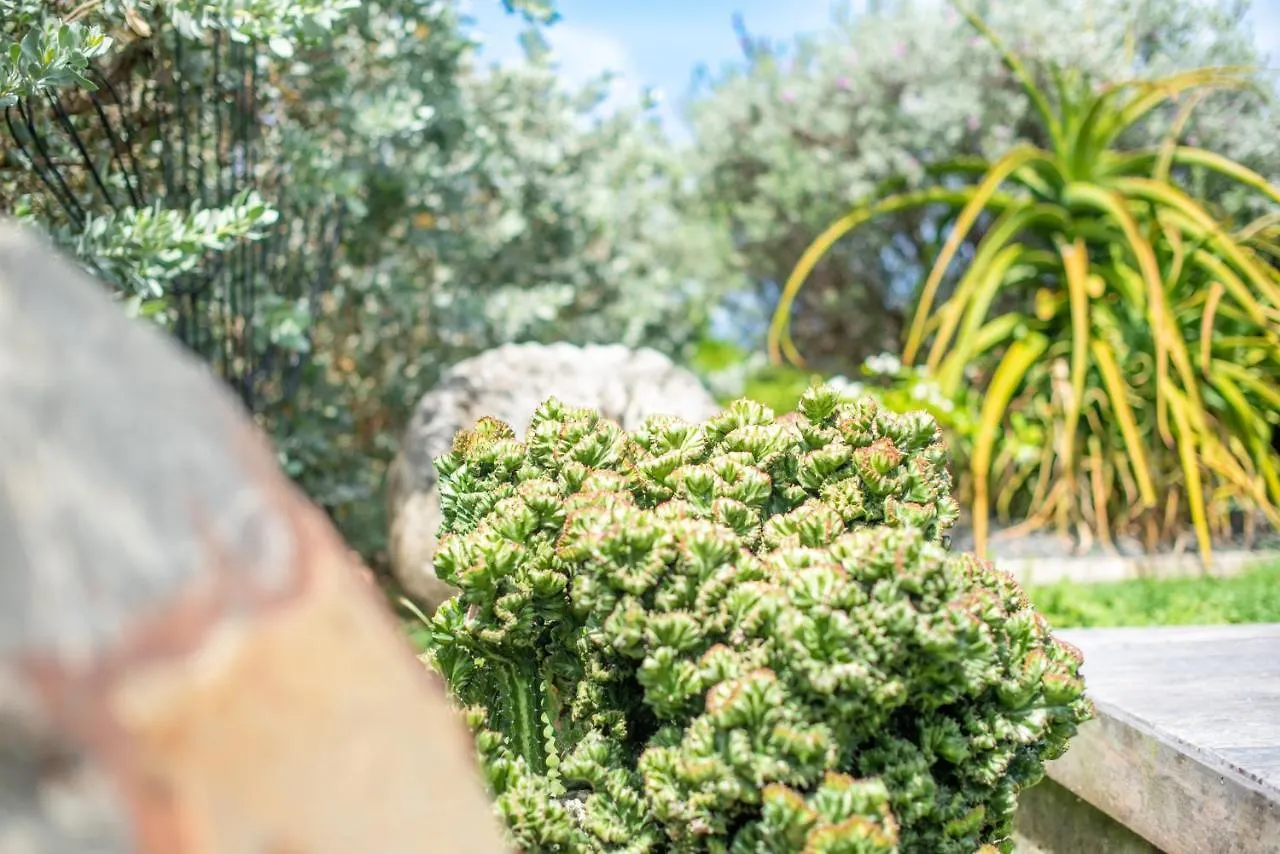 Domaine Bonheur Indigo Villa Le Moule