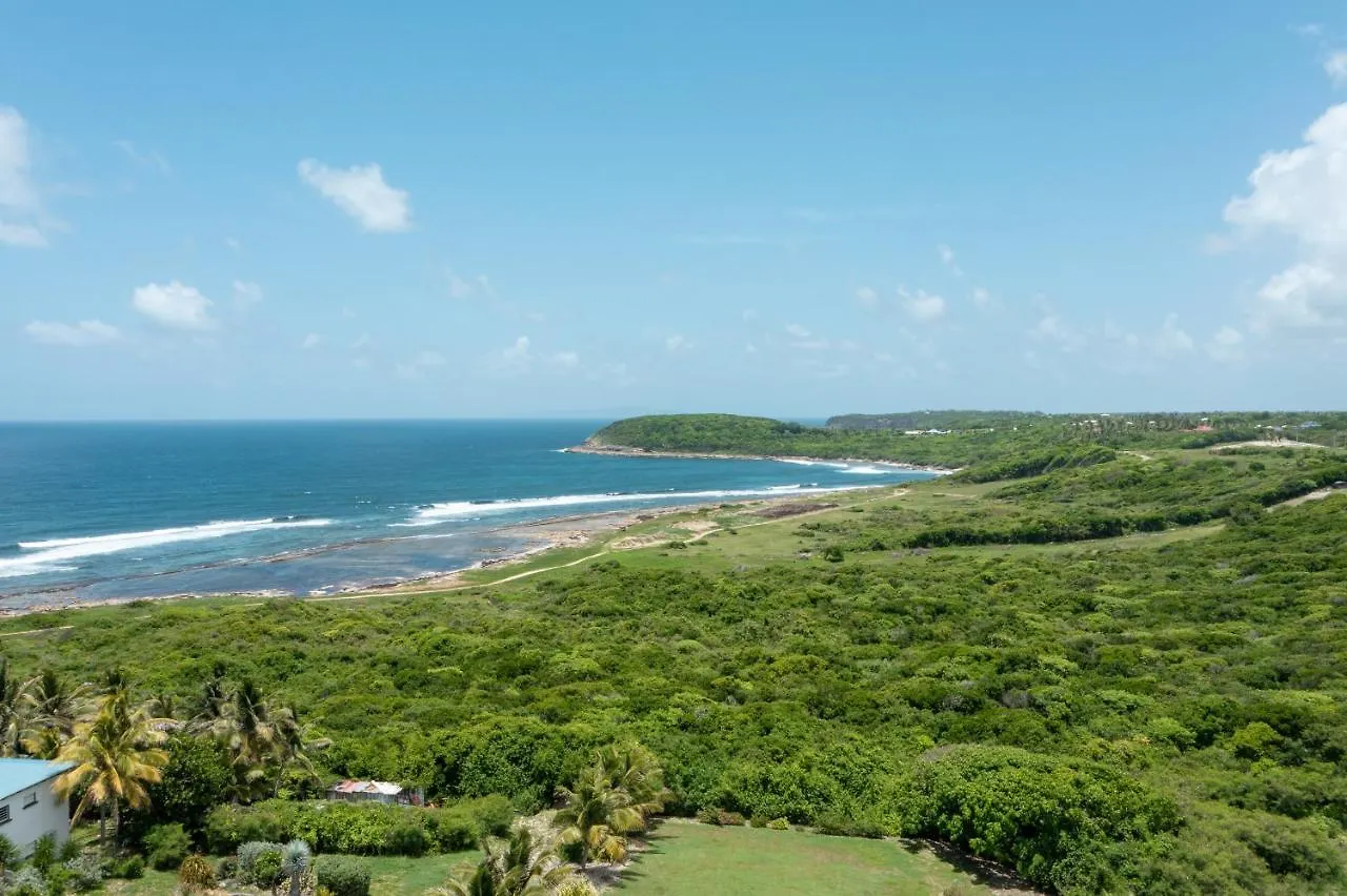 Villa Domaine Bonheur Indigo Le Moule Guadalupe