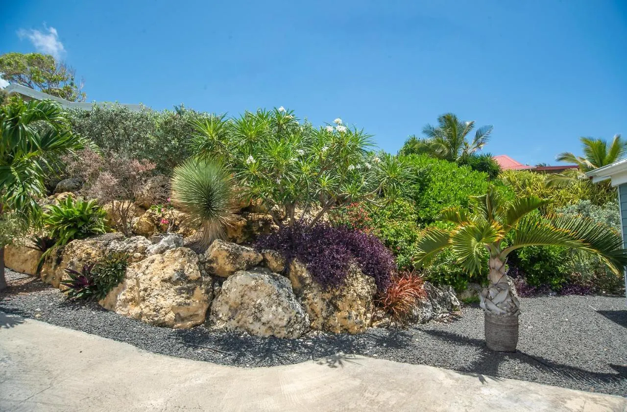 Villa Domaine Bonheur Indigo Le Moule 0*,